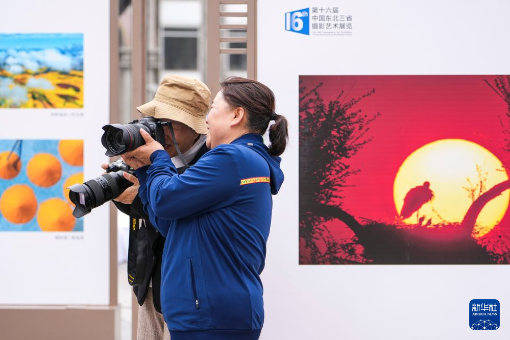 Latest Articles for
            you - NG28服务